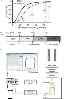 Increased Hemoglobin Oxygen Affinity With 5-Hydroxymethylfurfural Supports Cardiac Function During Severe Hypoxia